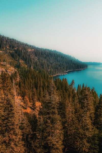 pine tree and lake at Emerald Bay Lake Tahoe California USA by Timmy333