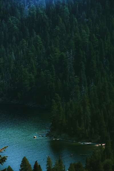 green pine tree and blue water at Emerald Bay Lake Tahoe California USA by Timmy333