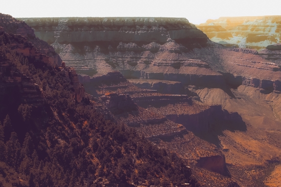 Desert scenery at Grand Canyon national park USA by Timmy333