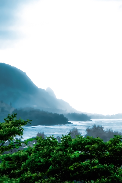 green tropical land with ocean front at Kauai, Hawaii, USA by Timmy333