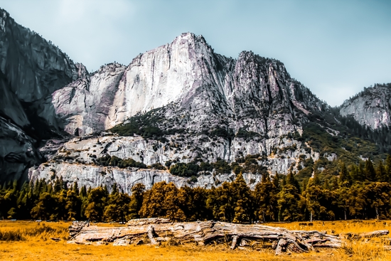 Mountains with dry field and pine tree view at Yosemite national park, California, USA by Timmy333