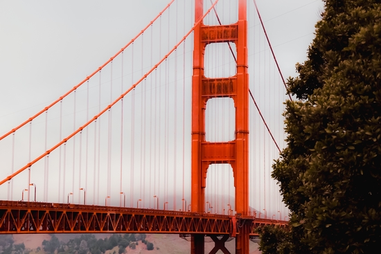 Closeup Golden Gate Bridge San francisco USA by Timmy333