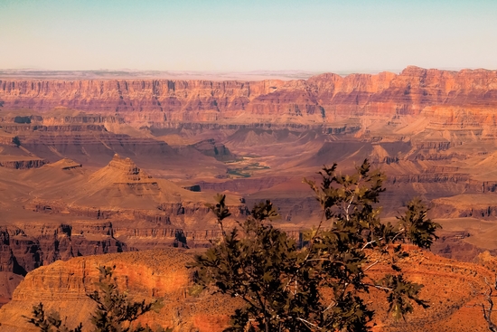 Desert in summer at Grand Canyon national park USA by Timmy333