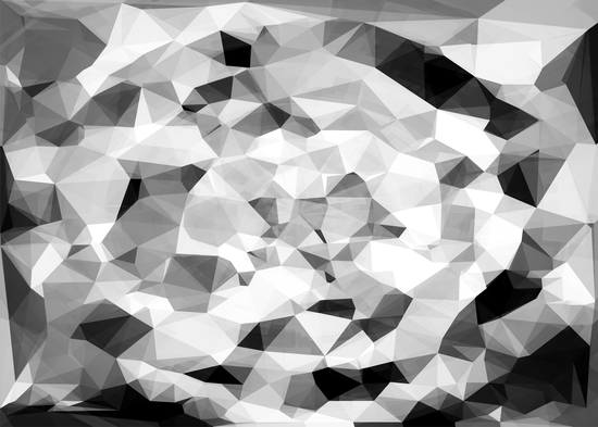 geometric polygon abstract pattern in black and white by Timmy333