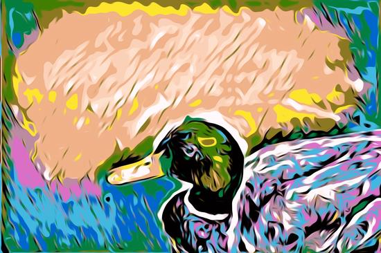 mallard duck with yellow green pink and blue abstract background by Timmy333