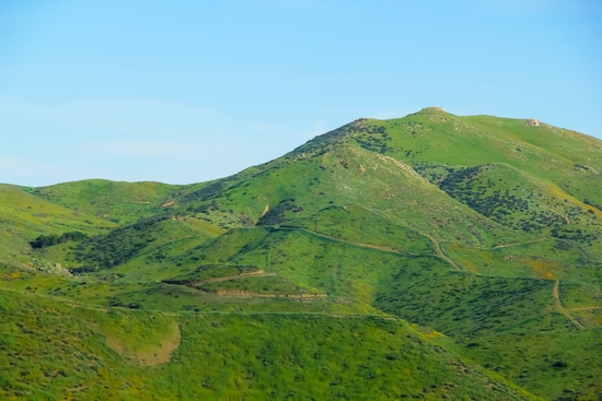 green field and green mountain with blue sky by Timmy333