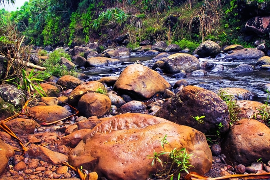 river in the forest with green tree and rock and stone by Timmy333