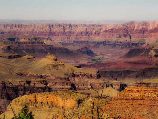 texture of rock and stone at Grand Canyon national park, USA by Timmy333