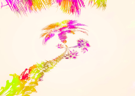 palm tree over the sky in pink purple green yellow by Timmy333