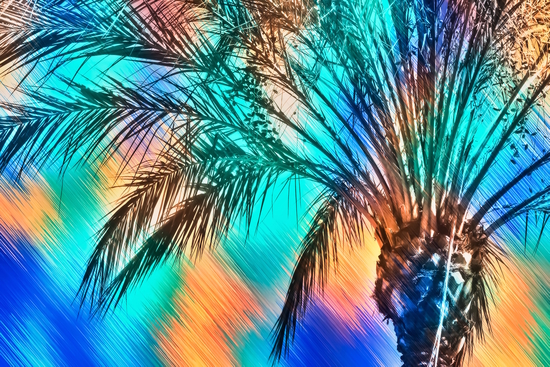 isolate palm tree with painting abstract background in green blue orange by Timmy333