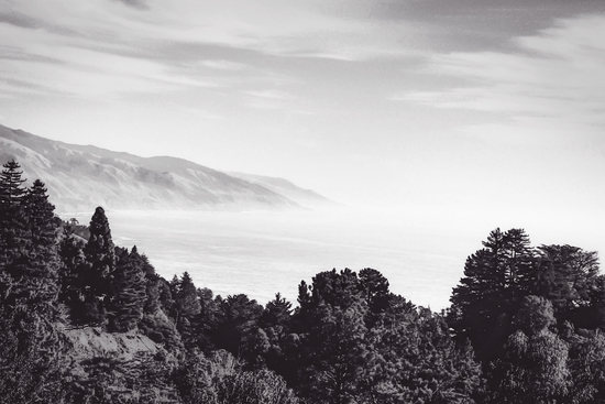 Beautiful ocean view with forest front view at Big Sur, California, USA in black and white by Timmy333