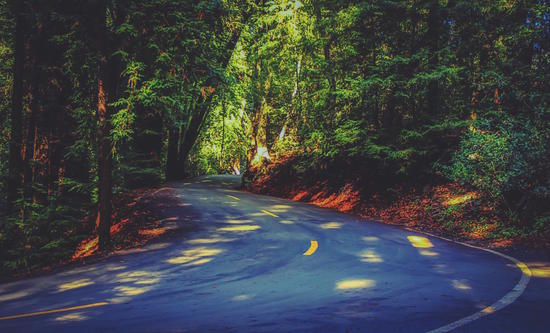 Road to nature on Highway 1, California, USA by Timmy333