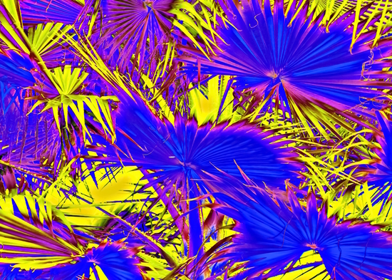 closeup palm leaf texture abstract background in blue pink and yellow by Timmy333