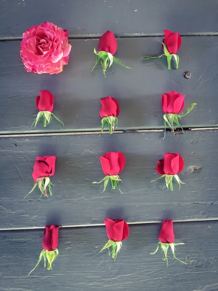 red roses and pink rose on the table by Timmy333