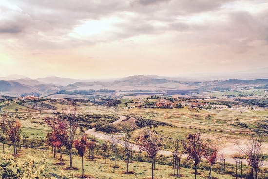 countryside view with sunset sky and green field with mountain view by Timmy333