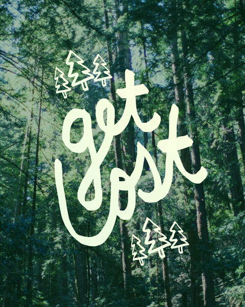 Get Lost - Muir Woods by Leah Flores