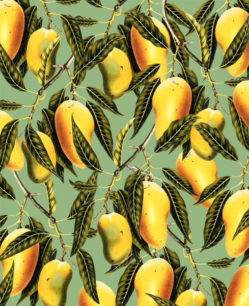 Mango Season by Uma Gokhale