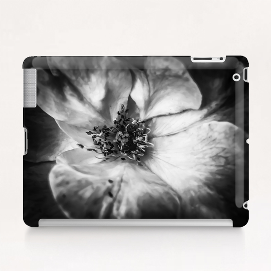 closeup blooming rose in black and white Tablet Case by Timmy333