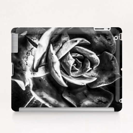 closeup succulent plant in black and white Tablet Case by Timmy333