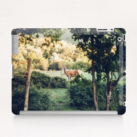 Lone Deer Tablet Case by Salvatore Russolillo