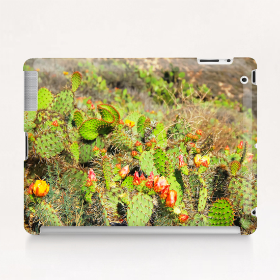 green cactus with red and yellow flower texture background Tablet Case by Timmy333