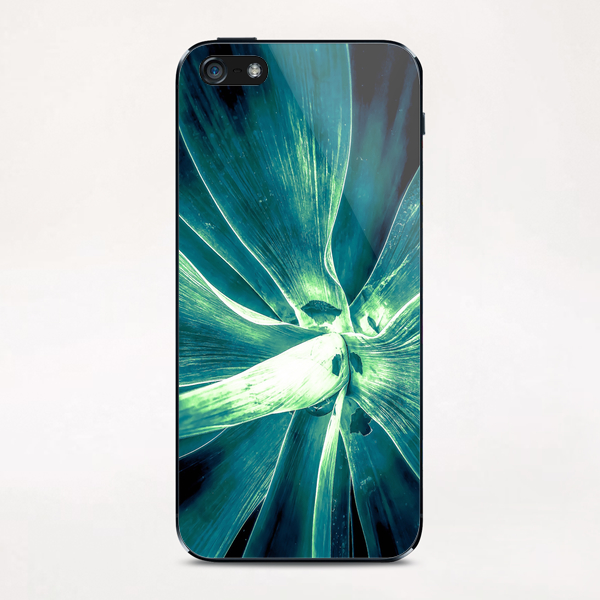 green succulent leaves texture abstract iPhone & iPod Skin by Timmy333