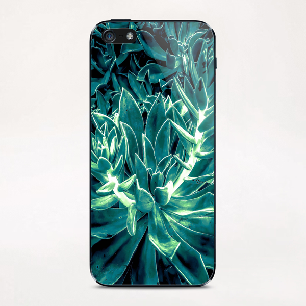 closeup green succulent plant texture background iPhone & iPod Skin by Timmy333