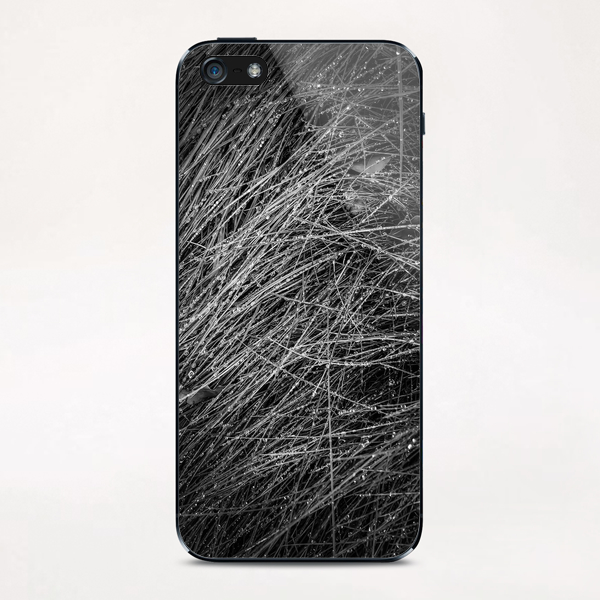 grass texture in black and white iPhone & iPod Skin by Timmy333