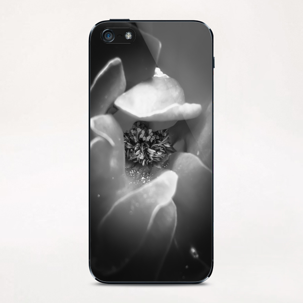 blooming rose with pollen in black and white iPhone & iPod Skin by Timmy333