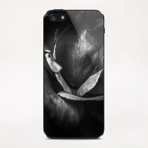 closeup rose background in black and white iPhone & iPod Skin by Timmy333