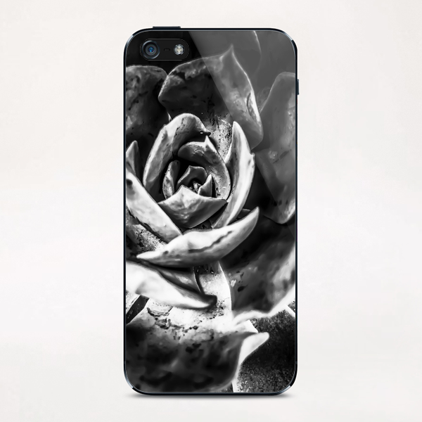 closeup succulent plant in black and white iPhone & iPod Skin by Timmy333