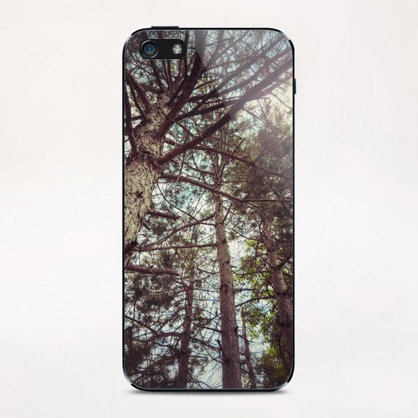 The Pinewood iPhone & iPod Skin by Salvatore Russolillo