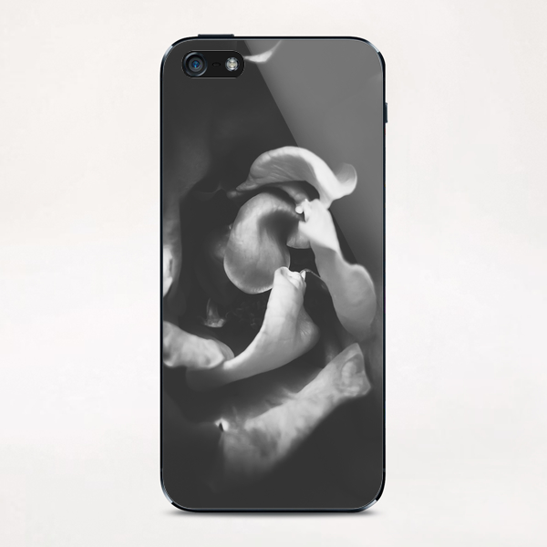 closeup rose in black and white iPhone & iPod Skin by Timmy333