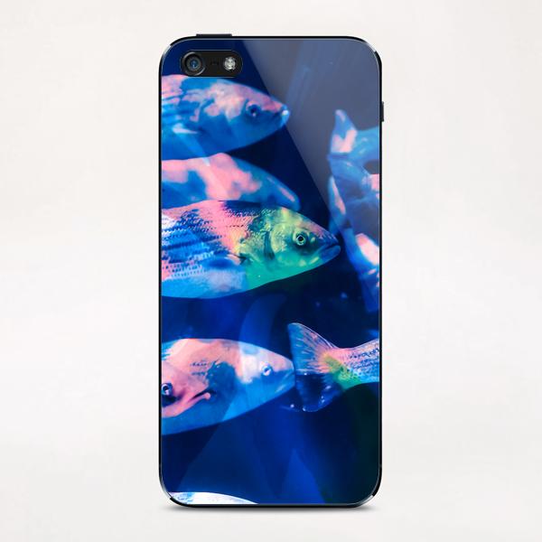 Colorful fish iPhone & iPod Skin by mmartabc