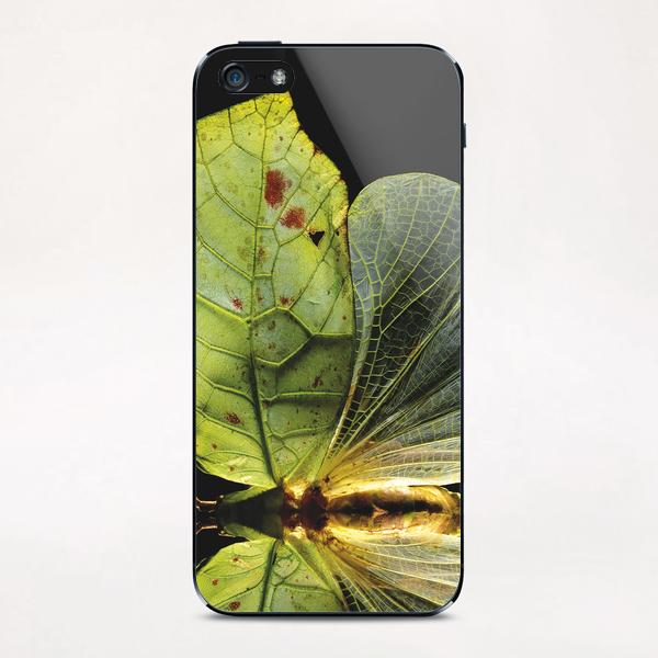 Cycloptera iPhone & iPod Skin by Mermet