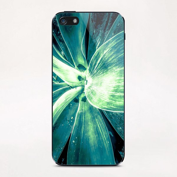 green succulent leaves texture background iPhone & iPod Skin by Timmy333