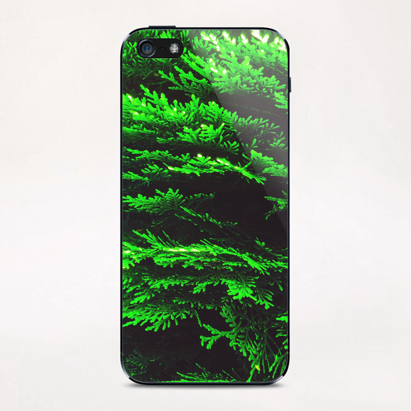 closeup green leaf texture abstract background iPhone & iPod Skin by Timmy333