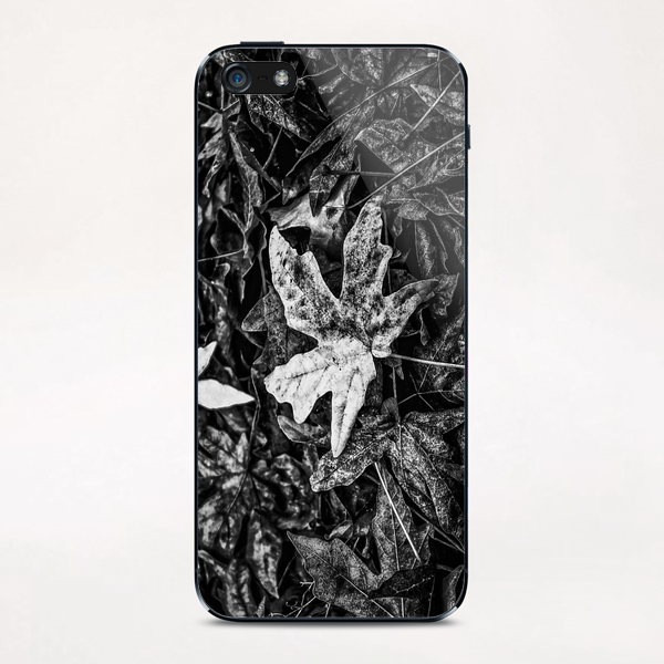 maple leaves in black and white iPhone & iPod Skin by Timmy333