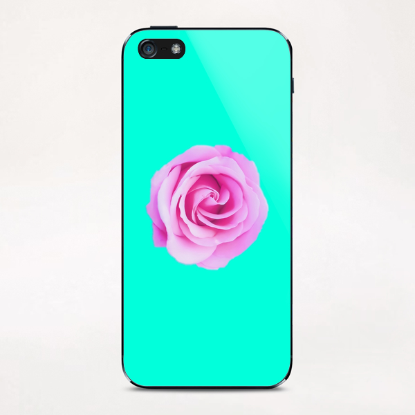 closeup pink rose with green background iPhone & iPod Skin by Timmy333