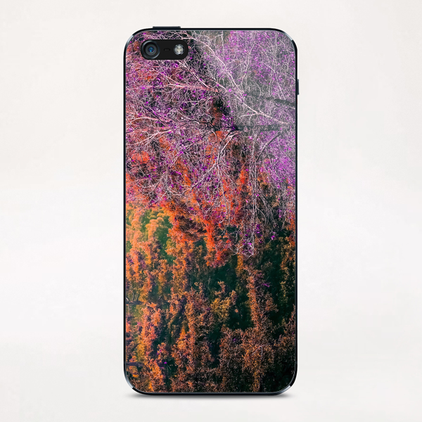 autumn tree in the forest with purple and brown leaf iPhone & iPod Skin by Timmy333