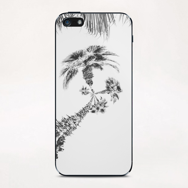 palm tree with clear sky background in black and white iPhone & iPod Skin by Timmy333