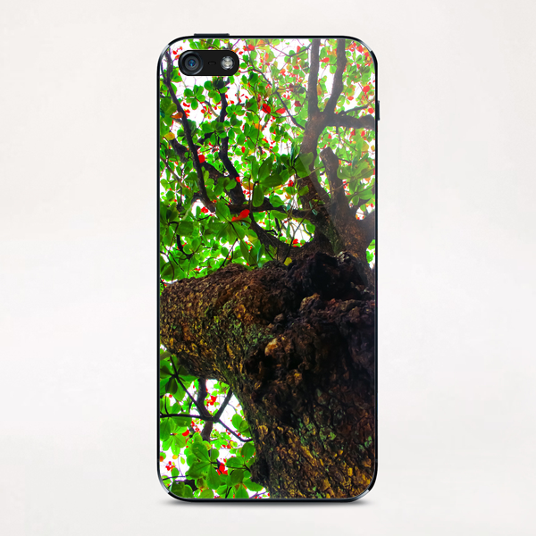 big tree with green leaves and red leaves iPhone & iPod Skin by Timmy333