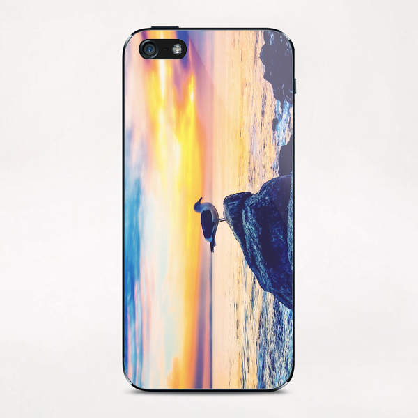 bird on the stone with ocean sunset sky background iPhone & iPod Skin by Timmy333