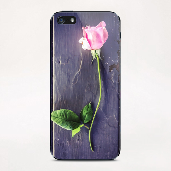 pink rose with wood table background iPhone & iPod Skin by Timmy333