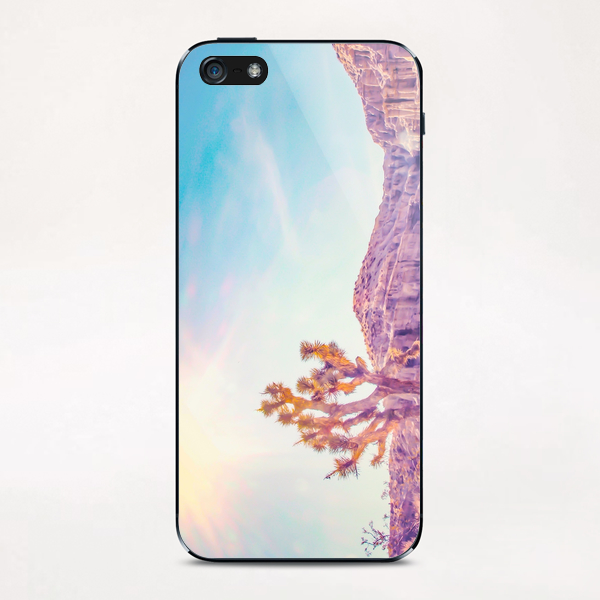 cactus at the desert in summer with strong sunlight iPhone & iPod Skin by Timmy333