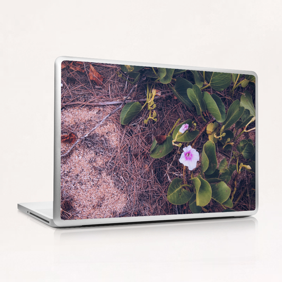 blooming pink flower with green leaves on the ground Laptop & iPad Skin by Timmy333