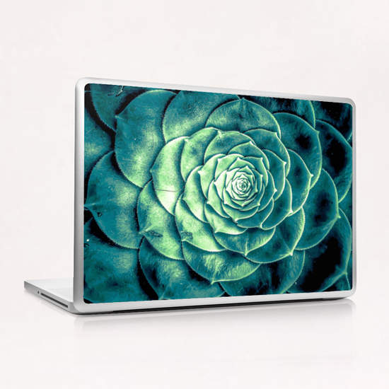 closeup green succulent plant leaves background Laptop & iPad Skin by Timmy333