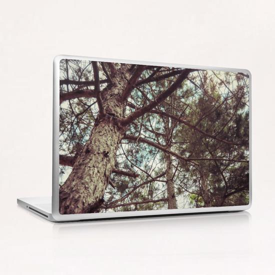 The Pinewood Laptop & iPad Skin by Salvatore Russolillo