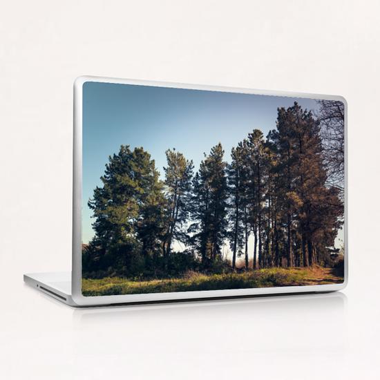 Trees II Laptop & iPad Skin by Salvatore Russolillo