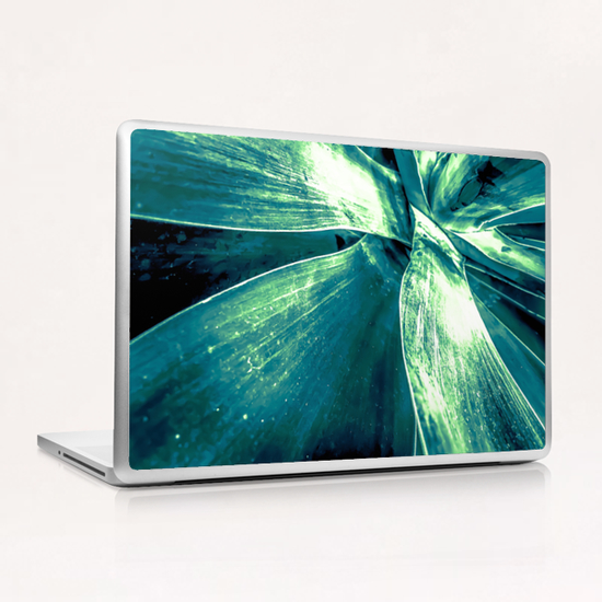 closeup green succulent leaves texture background Laptop & iPad Skin by Timmy333